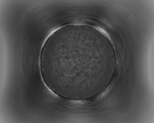 X0000087330855200704201126