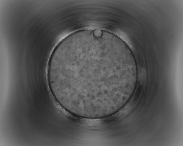 X0000087330856200704201126