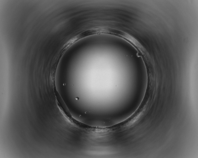 X0000087330857200704201127