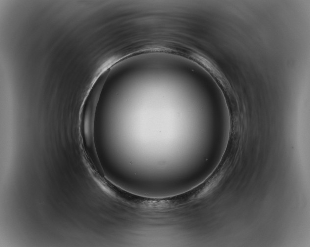 X0000087330858200704201127