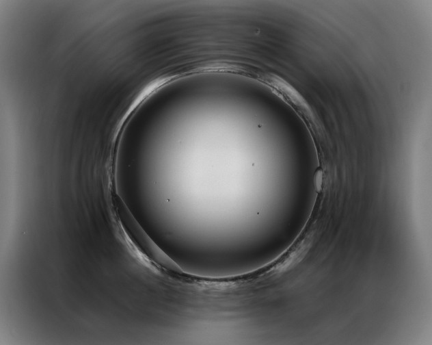 X0000087330860200704201127