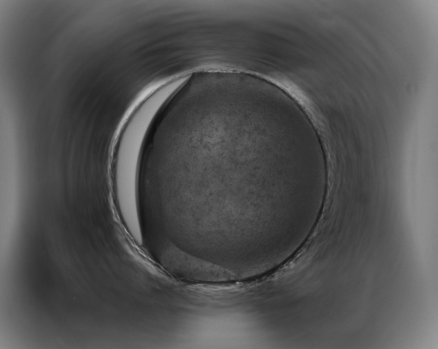 X0000087330864200704201127