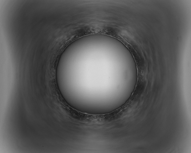 X0000087330865200704201126