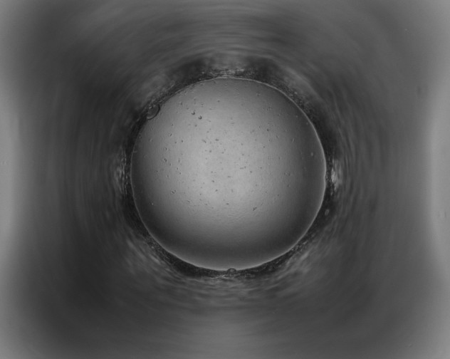X0000087330867200704201126