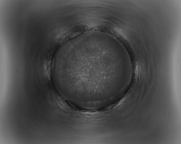 X0000087330868200704201126