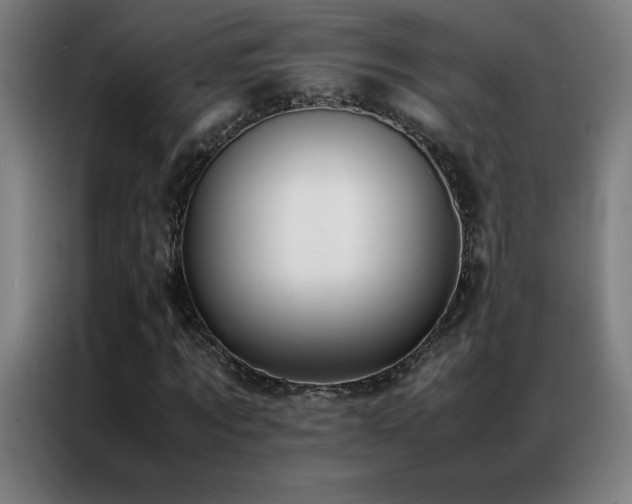 X0000087330869200704201126