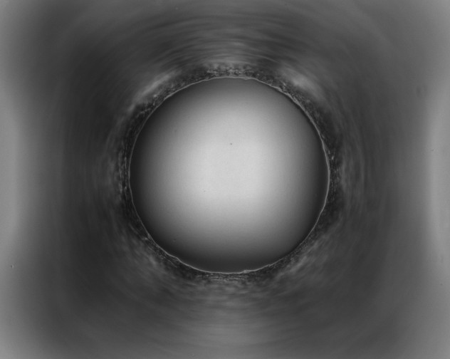 X0000087330870200704201126