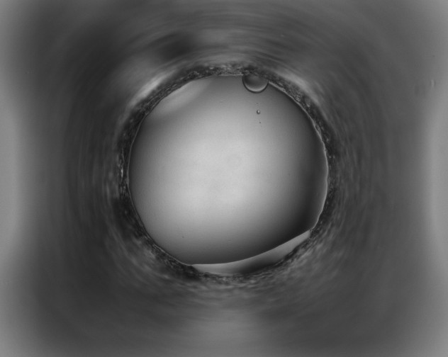 X0000087330871200704201126