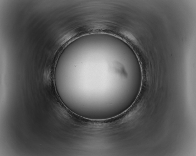 X0000087330873200704201126