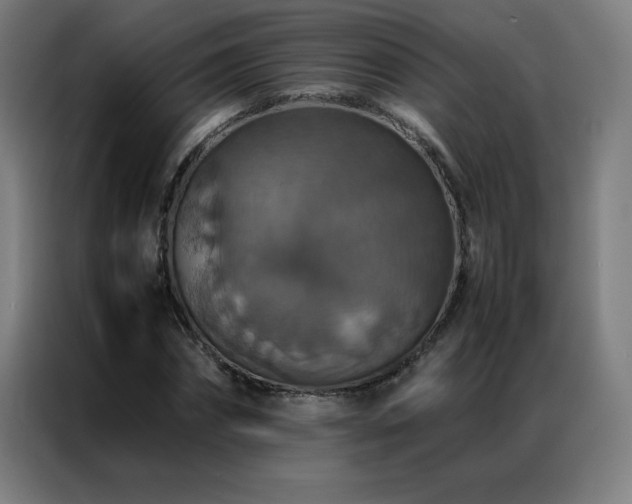 X0000087330874200704201126