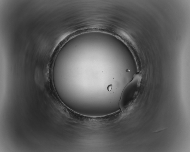 X0000087330875200704201126