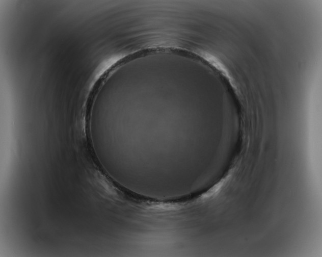 X0000087330877200704201126