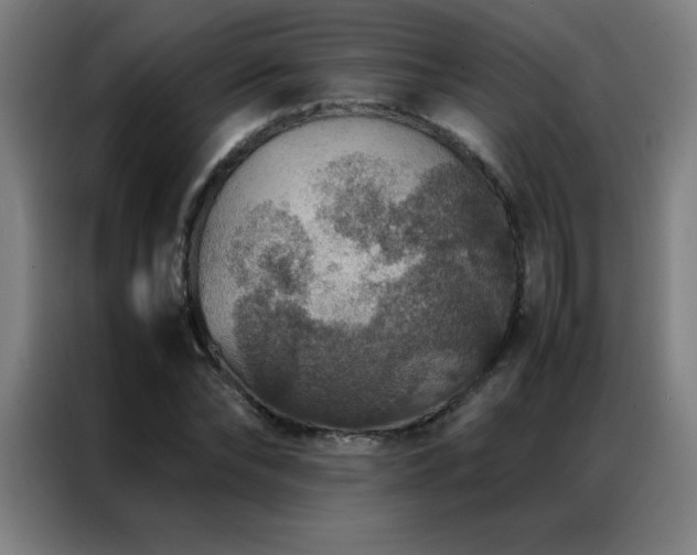 X0000087330878200704201126