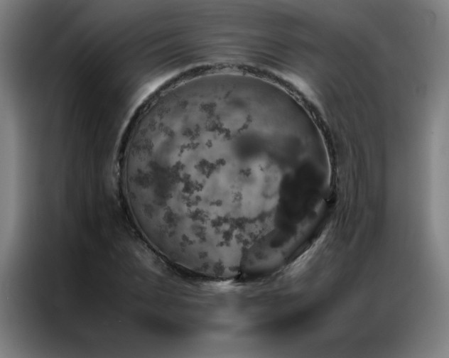 X0000087330879200704201126