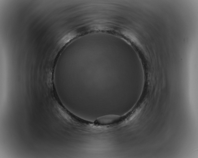 X0000087330881200704201126