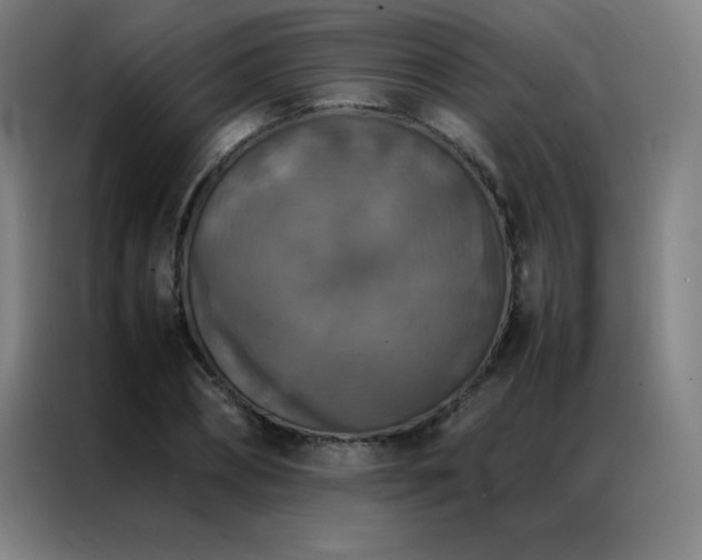 X0000087330882200704201126