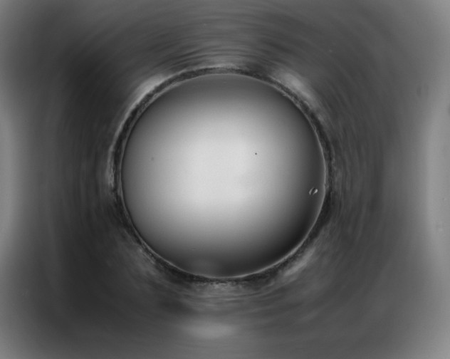 X0000087330883200704201126