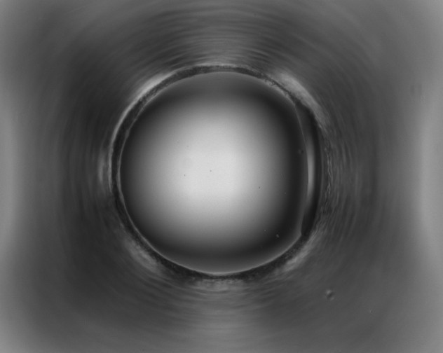 X0000087330884200704201126