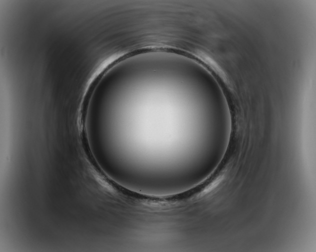X0000087330885200704201126