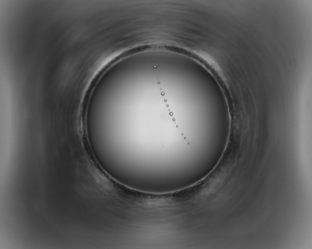 X0000087330887200704201126