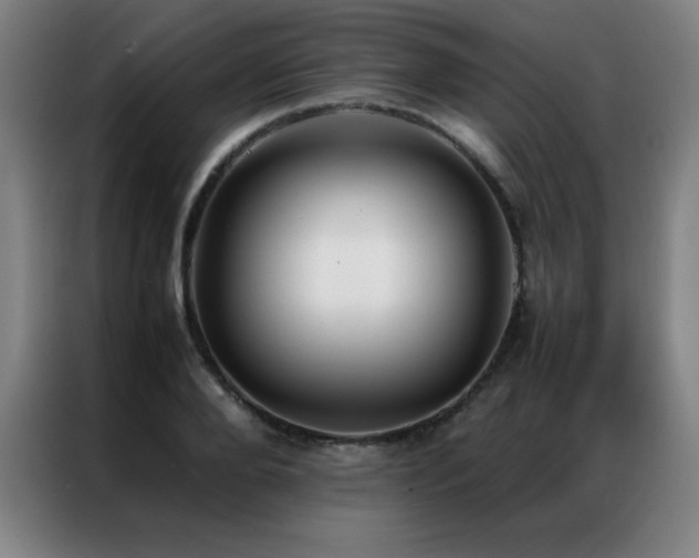 X0000087330888200704201126