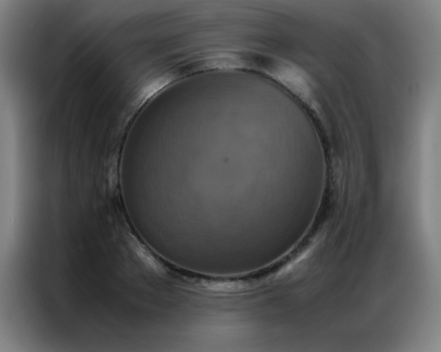X0000087330889200704201126