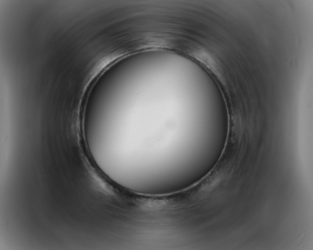 X0000087330890200704201126