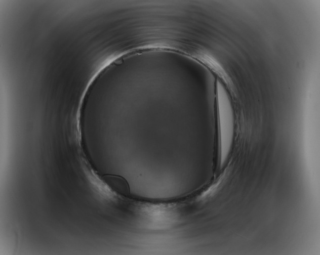 X0000087330892200704201126