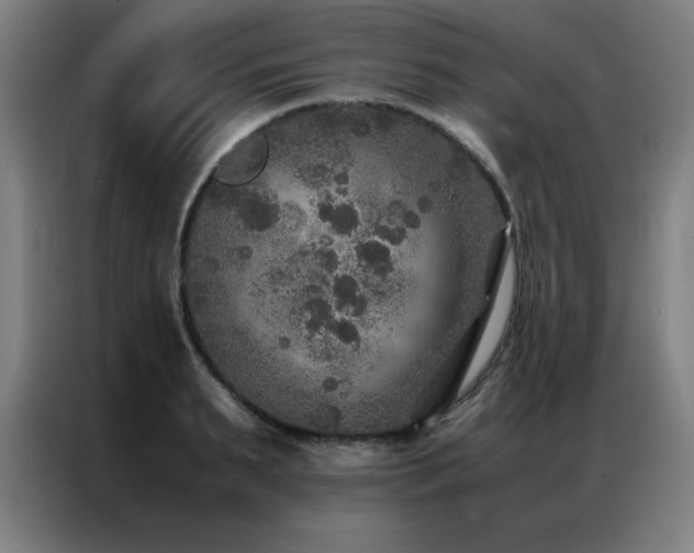 X0000087330895200704201126