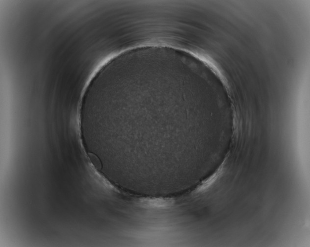 X0000087330896200704201126
