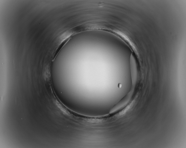 X0000087330897200704201126