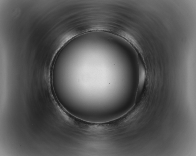 X0000087330898200704201126