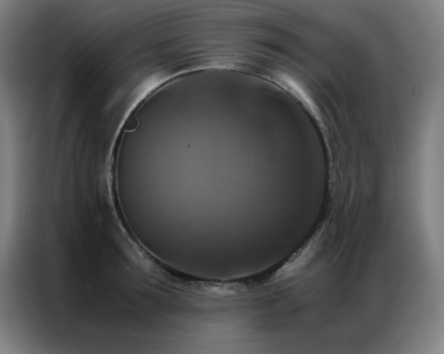 X0000087330899200704201126