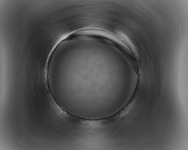 X0000087330900200704201126