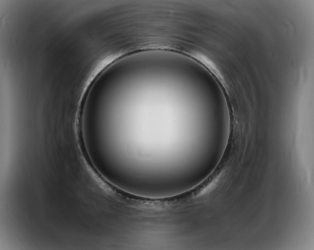 X0000087330901200704201126