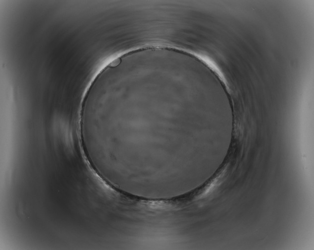 X0000087330903200704201126