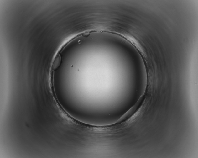 X0000087330904200704201126