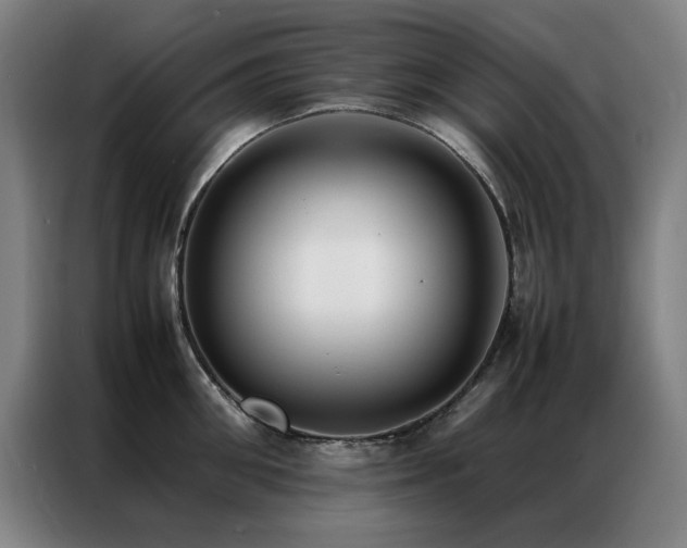 X0000087330906200704201126
