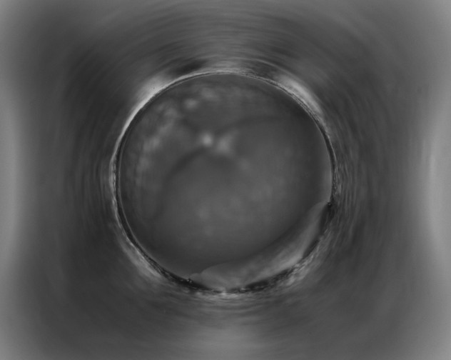 X0000087330907200704201126
