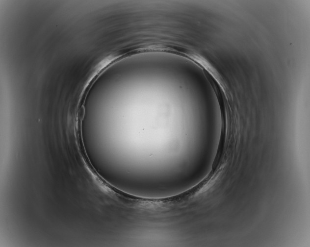 X0000087330909200704201126