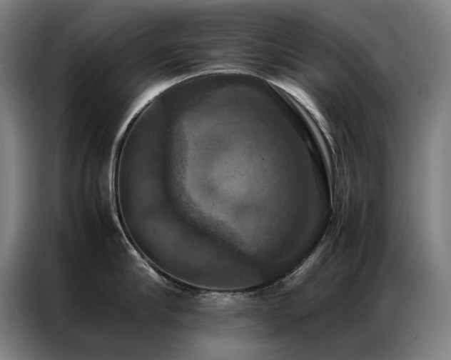 X0000087330910200704201126