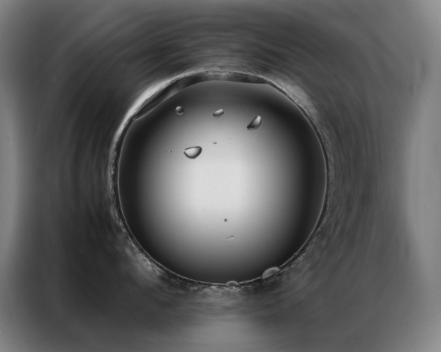X0000087330912200704201125