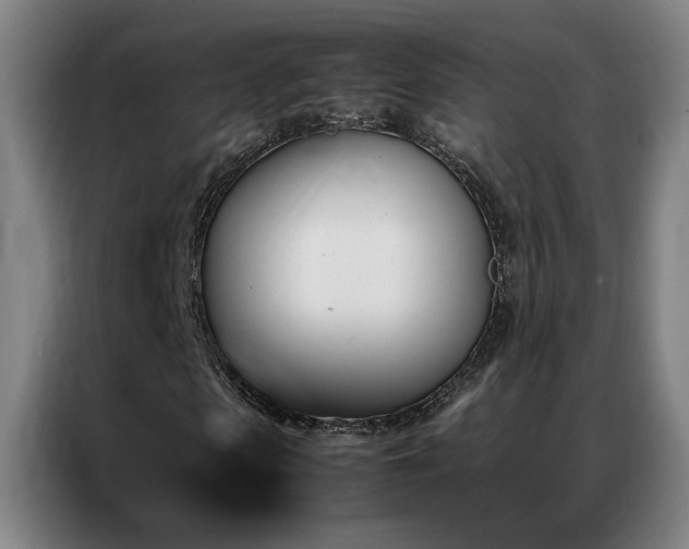 X0000087330913200704201125