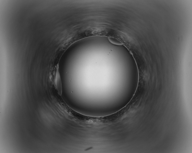 X0000087330914200704201125