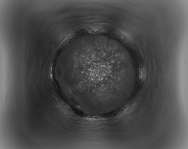 X0000087330915200704201125