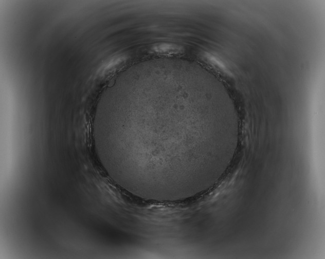 X0000087330917200704201125