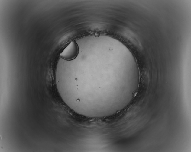 X0000087330918200704201125