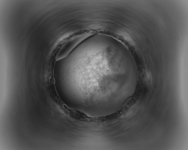 X0000087330920200704201125
