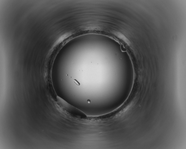 X0000087330922200704201125