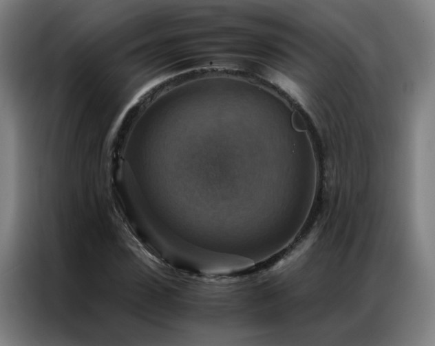 X0000087330923200704201125